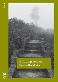 Bildungsroman - Marcelo Daniel Díaz