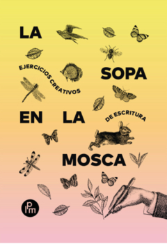 La Sopa En La Mosca, Ejercicios Creativos De Escritura - Salazar/Hochman