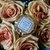 Vela Macaron Bergamot Rose Roses - Tule Home Decor