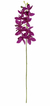 Haste de mini orquídea pink