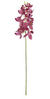 Haste de mini orquídea rosa
