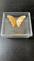 Caixa decorativa com borboleta amarela - comprar online