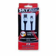 Cable USB a Tipo C 5A 1m. Skyway - comprar online