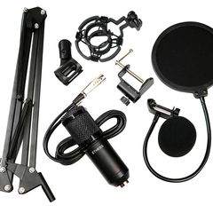 Microfono condensador profesional Etheos - comprar online