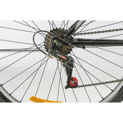 Imagen de Bicicleta R29 MTB Acero Futura "Techno" 21 cambios susp. Delantera Negra