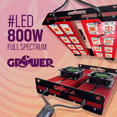 LED Full Spectrum 800w