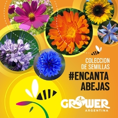 Colección de Semillas #Encanta Abejas