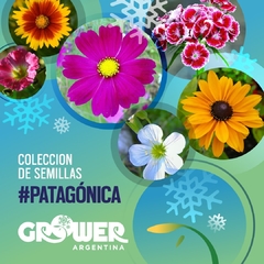 Colección de Semillas #Patagonica