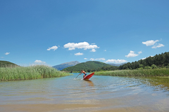 Tabla Stand Up Paddle Race 12ï6" en internet