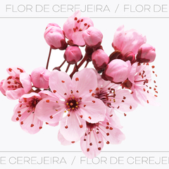 vela perfumada Flor de Cerejeira - comprar online