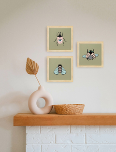 composição de quadros decorativos - insetos