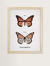 Quadro decorativo - borboletas vintage
