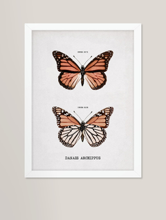 Quadro decorativo - borboletas vintage