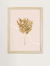 Quadro decorativo - golden leaf