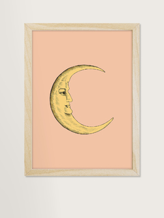 Quadro decorativo - moon face
