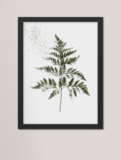 Quadro decorativo - leaf