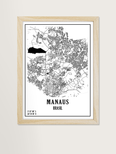 Coleção Mapas - Manaus na internet