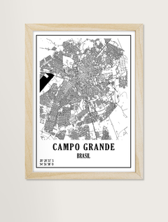 Coleção Mapas - Campo Grande na internet