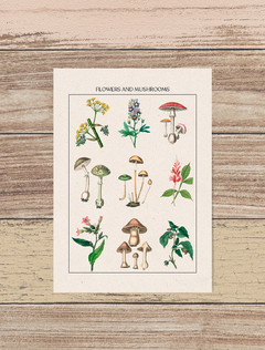 Quadro decorativo - Flowers & Mushrooms