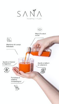 SANA Plan Detox 3 días - comprar online