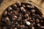 Chips de Chocolate x 100 grs - comprar online