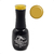 Angela Bresciano - Gel Polish Esmaltes Semipermanentes Colores (15ml) - Casiopea Beauty Store