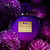 Antonio Banderas - Her Secret Desire Perfume para Mujer EDT (80ml) - comprar online
