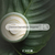 Exel - Green Line Serum Reforzador Super Hidratante con acido Hiluronico y acido Poliglutamico (30ml) - tienda online