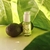 La Puissance - Kit Nutrition Therapy Shampoo (300ml) + Acondicionador (300ml) Cabellos Resecos y Quebradizos - comprar online