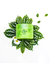 La Puissance - Vegan Apta Mascara Reparadora con Aloe Vera & Vegetal Keratin (250ml) - comprar online