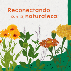 Kit de Huerta para todo el año: Semillas Agroecológicas (50 sobres) + 2 bandejas + sustrato + humus + jabón potásico