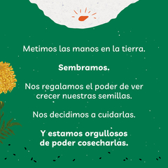 Kit de Huerta para todo el año: Semillas Agroecológicas (50 sobres) + 2 bandejas + sustrato + humus + jabón potásico - comprar online