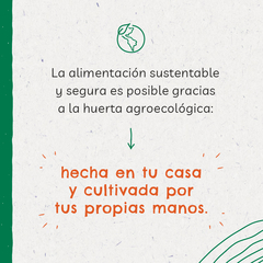 Kit de Huerta para todo el año: Semillas Agroecológicas (50 sobres) + 2 bandejas + sustrato + humus + jabón potásico en internet
