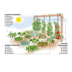 Kit 10 variedades de semillas agroecológicas de fácil cultivo