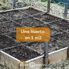 Kit 10 variedades de semillas agroecológicas de fácil cultivo - comprar online