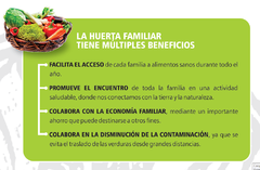 Kit de Huerta para todo el año: Semillas Agroecológicas (50 sobres) + 2 bandejas + sustrato + humus + jabón potásico - tienda online