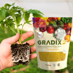 Pack x 250grs. Trichodermas Gradix. Enraizante y potenciador del crecimiento (5 unidades de 50grs)