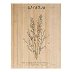 Quadro Decorativo 21x30 - Naturals Lavanda 37805