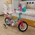 Bicicleta con canasto para muñeca GTS
