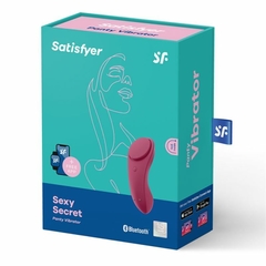 Imagen de SEXY SECRET SATISFYER APP/USB
