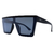 Óculos de Sol Ipanema Preto Brilhante - comprar online