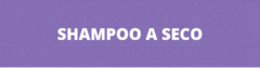 Banner da categoria Shampoo a Seco