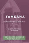 CURSO: TAMEANA - CONEXÃO PLEIDIANA