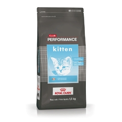 Performance - Kitten