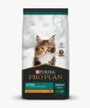 Pro Plan - Kitten
