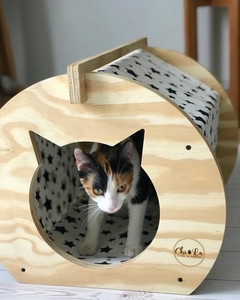 CHILA CATS - Chila Pet's