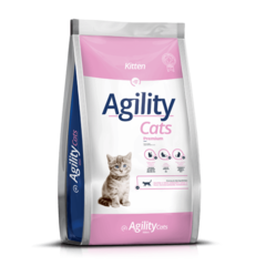 Agility - Cats Kitten