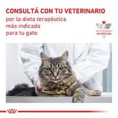 Royal Canin Calm Feline - Chila Pet's