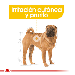 Royal Canin - Medium Dermacomfort - Chila Pet's