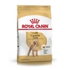 Royal Canin - Caniche Adult